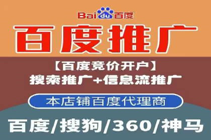 SEM推广实战：案例解析与策略探讨